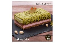 【福岡市】極ピスタチオモンブランケーキ　390g　1個　ストロベリーフィールズ