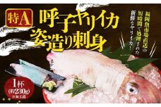 【福岡市】特A　呼子ヤリイカ姿造り刺身　1杯(約230g加工前)