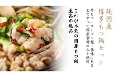【純国産】博多もつ鍋セット（2～3人前）＜醤油味＞