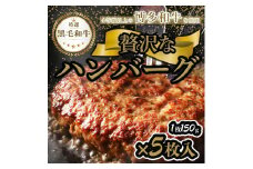 【極】博多和牛入りハンバーグ（150g×5個）