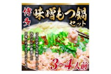 博多味噌もつ鍋　3～4人前セット
