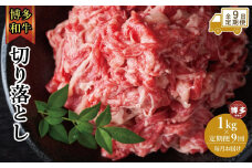 【全9回定期便】博多和牛切り落とし　1000ｇ（500ｇ×2ｐ）
