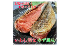 博多名物 いわし明太子 ゆず風味 10尾 ( 5尾 x 2 )