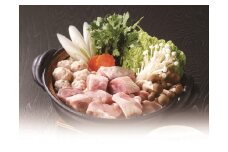 【博多大丸おすすめ品】肉のヒサダヤ　はかた地どり鍋セット