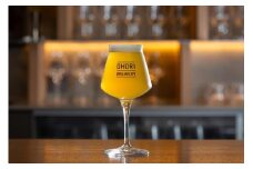 【福岡市内製造】大濠ブルワリー OHORI SOUR 缶ビール 350mlｘ12缶セット