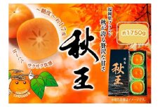 秋王　約1750g