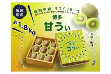 博多「甘うい」の贅沢果実 約1.8kg