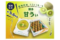 博多「甘うい」の贅沢果実　約3.6kg