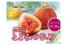 とよみつひめ　４パック約1200gセット