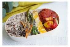 【冷凍】煮込みハンバーグ弁当3食セット　無添加　無農薬米　有機・特別栽培野菜　九州　福岡　国産食材