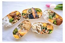 【冷凍】お弁当5食セット　無添加　無農薬米　有機・特別栽培野菜　九州　福岡　国産食材