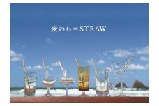麦ストロー　福岡市西区北崎産