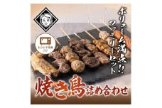 博多焼き鳥詰め合わせファミリーセット（焼き鳥詰め合わせ(8本セット)5パック）