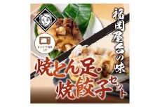 博多とん足焼餃子セットとん足(150g)、焼餃子(10個入り) 各5パック）