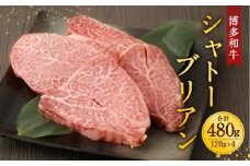博多和牛シャトーブリアン　480g　