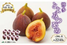 〈2025年8月10日～10月20日発送〉博多とよみつひめ 約280g×8