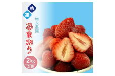 増永農園の完熟冷凍あまおう2kg