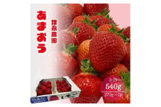 【2026年1月下旬発送開始】増永農園のあまおう270g×2パック