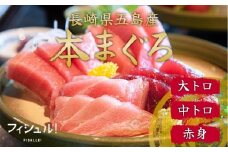【福岡市】フィシュル！マグロづくしセット（赤身5枚　50g×3P、中トロ3枚・大トロ2枚　50g×3P）