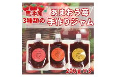 3種類のいちごジャム 無添加 あまおうイチゴ 200g×3袋 手作り 国産 チューブ パウチ入り