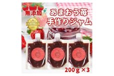 いちごジャム 無添加 あまおうとグラニュー糖のジャム 200g×3袋 手作り 国産 チューブ パウチ入り