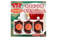 いちごジャム 無添加 あまおうとオリゴ糖のジャム 200g×3袋 手作り 国産 チューブ パウチ入り