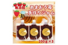 いちごジャム 無添加 あまおうとハチミツのジャム 200g×3袋 手作り 国産 チューブ パウチ入り