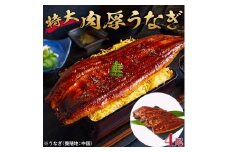 特大うなぎ蒲焼き無頭1本もの4尾セット 福岡市（中国産）