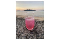 【福岡市】オーシャングラス　1個　420ml【ピンク系】