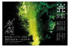 博多旧市街ライトアップウォーク2025千年煌夜【早割10月15日まで入金完了】ペアチケット引換券
