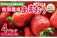 【先行受付！2026年1月以降お届け】特別栽培あまおう 4パック ふくおかエコ農産物_いちご あまおう 約 270g ～ 300g 4パック 大粒 濃厚 甘い 特別栽培 安心 安全 冷蔵 果物 フルーツ ストロベリー アフター保証 スイーツ ケーキ スムージー ジャム デザート 福岡県産 ふくおかエコ農産物 国産 お取り寄せ 福岡県 久留米市 送料無料 先行予約_Fi003
