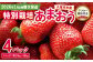 贅沢に4パックお届け