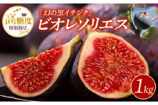 特別栽培 ビオレソリエス（黒イチジク）_特別栽培 ビオレソリエス 黒イチジク 計1kg イチジク 250g × 4パック 幻の黒イチジク ポリフェノール 希少 久留米市内で生産 福岡県 久留米市 お取り寄せ お取り寄せフルーツ 果物 フルーツ 冷蔵 送料無料_Fx003