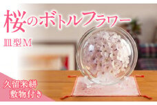 桜のボトルフラワーM（久留米絣敷物付き）_桜 ボトルフラワー M 久留米絣 敷き物付き 皿型 インテリア かわいい おしゃれ 桜の花 ソメイヨシノ ドライ加工 まるで生花 お手入れ簡単 ギフト 入学祝 卒業祝 合格祝 就職祝 お祝い 記念 贈り物 雑貨 お取り寄せ 福岡県 久留米市 送料無料_Qb001