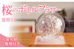 写真中左側の小さいサイズは含まれませんのでご注意ください