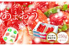 福岡産【冬】あまおう4パック_冬くるめ あまおう 250g × 4パック 合計 1kg 冷蔵 苺本来の味 濃厚 甘い 果汁 アフター保証 安心安全 国産 いちご 果物 アレンジ おやつ お菓子 タルト クッキー フルーツ スイーツ スムージー ジャム 南国フルーツ お取り寄せ 福岡県 久留米市 送料無料_Fi011