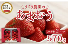 うるう農園のあまおうDX等級 2パック（570g）_いちご あまおう DX等級 2パック 570g 減農薬 有機質肥料 特別栽培 認定農家 うるう農園 福岡県 久留米市 採れたて 農家直送 フルーツ 果物 冷蔵 5年 研究開発 いちごジャム スイーツ お取り寄せ お取り寄せグルメ 送料無料_Fi007