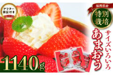 うるう農園のあまおうサイズ色々 4パック（1140g）_サイズ色々 特別栽培認証 あまおう 苺 4パック 計 1140g うるう農園 安心 安全 Mサイズ 特大 グランデサイズ 福岡限定 ブランド苺 フルーツ 果物 ジャム ムース スイーツ 採れたて 農家直送 クール便 国産 お取り寄せ 福岡県 久留米市 送料無料_Fi009