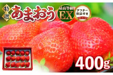 特選あまおう 400g_数量限定 いちご エクセレント 厳選 あまおう 400g 特別栽培 EX 認定農家 大きい うるう農園 福岡県 久留米市 採れたて 農家直送 フルーツ 果物 冷蔵 贈答用 一粒 丁寧な梱包 贈り物 お歳暮 お取り寄せ 送料無料_Fi006