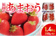 あまおう苺_あまおう苺_Fi041