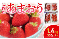 あまおう苺_あまおう苺_Fi041