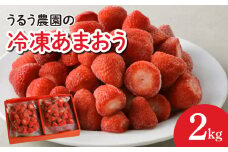 うるう農園の冷凍あまおう2kg_あまおう 2kg 冷凍 甘い 濃厚 新鮮 いちごの王様 うるう農園 いちご 果物 アレンジ おやつ フルーツ スイーツ スムージー ジャム アイス けずり苺 お取り寄せ お取り寄せグルメ 福岡県 久留米市 送料無料_Fi204