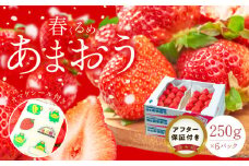 福岡産【春】あまおう6パック_春くるめ あまおう 250g × 6パック 合計 1.5kg 冷蔵 濃厚 甘い 果汁 アフター保証 安心安全 酸味 甘味 国産 いちご 果物 アレンジ おやつ フルーツ スイーツ スムージー ジャム 南国フルーツ お取り寄せ 福岡県 久留米市 送料無料_Fi013