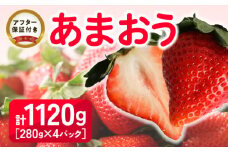福岡県産 あまおう 1120g(280g×4パック) 2025年2月より順次発送_【先行予約】福岡県産 あまおう 280g×4パック 計1120g 2025年2月より順次発送 アフター保証 ブランド いちご 王様 食べ応え 溢れ出す 果汁 魅力 果物 冷蔵 国産 お取り寄せ 久留米市 送料無料_Fi034