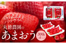 丸徳農園の福岡県産あまおう_丸徳農園 福岡県産 あまおう 300g × 4パック いちご いちごの王様 甘い 酸味 バランス 2月中旬 ～ 3月下旬 順次発送 冷蔵 肉厚 大きい うまい おやつ デザート 果物 フルーツ 大人気 九州産 国産 食べ物 お取り寄せ 福岡県 久留米市 送料無料_Fi038