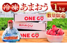 【数量限定】福岡県産あまおう（冷凍1kg）特別栽培_数量限定 急速冷凍 いちご あまおう 1kg 冷凍 3Dフリーザー 長期保存可能 国産 サクサク シャーベット フルーツ デザート フレッシュ 果物 便利 安心 長持ち 無添加 無香料 無加糖 エコファーマー GAP認定 福岡県 久留米市 送料無料_Fi203