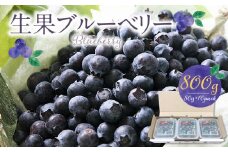 福岡県産 ブルーベリー生果 800g_ブルーベリー 生果 80g × 10パック 計 800g 直送 旬 完熟ブルーベリー アントシアニン 生の果物 使いやすい 腸内環境改善 個包装 冷凍保存 シャーベット アイス ヨーグルト アレンジ フルーツ デザート 果物 福岡県 久留米市 お取り寄せ 送料無料_Fx004