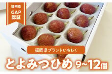 「福岡県GAP」認証！福岡県ブランドいちじく「とよみつひめ」