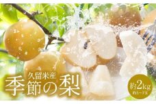 久留米産 季節の梨（約2kg）_久留米産 季節の梨（約２Kg）_Fn004