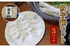餃子鍋セット 300g×3パック_餃子 鍋 セット 300g × 3パック 濃縮スープ 3個付き 昭和22年創業 ぎょうざ専門店 湖月 人気 メニュー こだわり 自家製 手作り 手包み 冷凍 美味しい 餃子鍋 〆 雑炊 お取り寄せ お取り寄せグルメ 福岡県 久留米市 送料無料_cn007